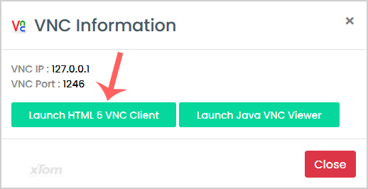 Virtualizor-VNC-Choose-option.gif